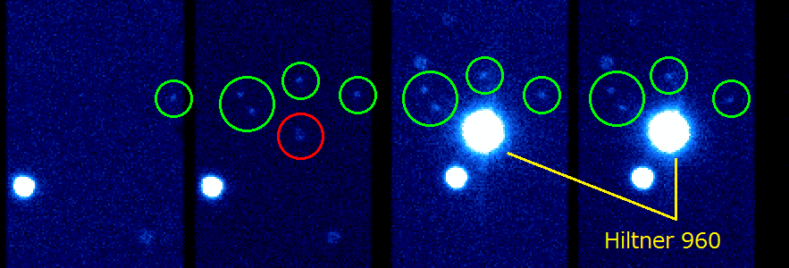 Ghost from Half-Wave Plate