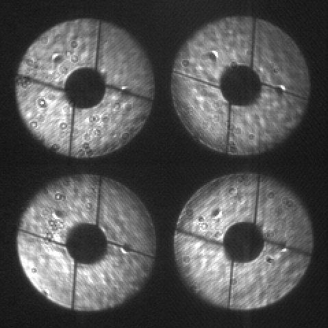 Picture of the PyWFS images