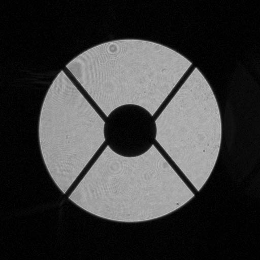 Subaru Telescope Pupil