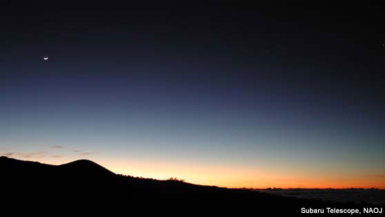 Taking a rest while the observation