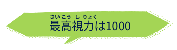 最高視力は1000