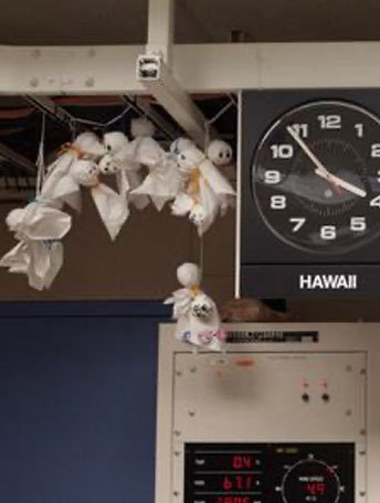 すばる望遠鏡内のてるてる坊主