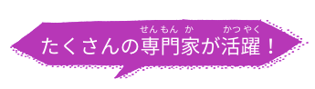 たくさんの専門家が活躍！