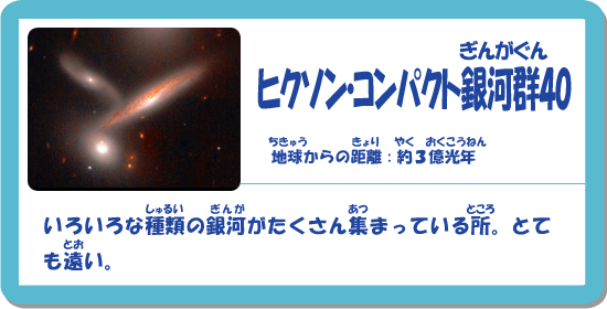 �q�N�\���E�R���p�N�g���񂪂���40