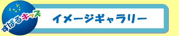 ���΂�L�b�Y �z�[����